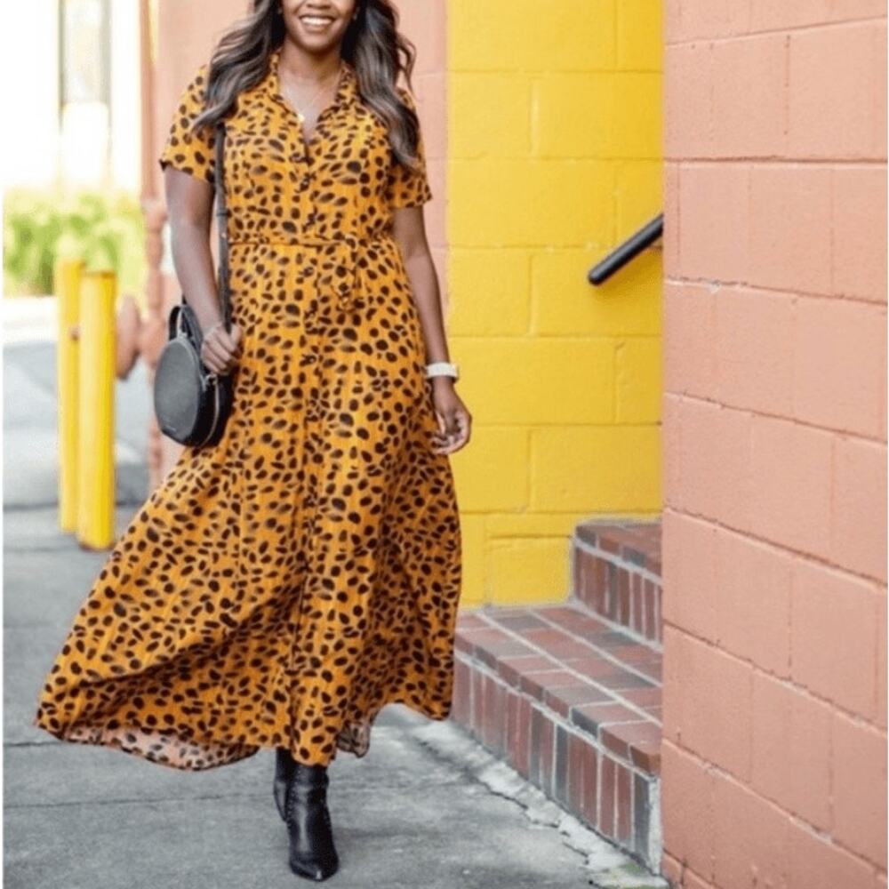 Anthropologie Porridge Vianne Maxi Shirtdress